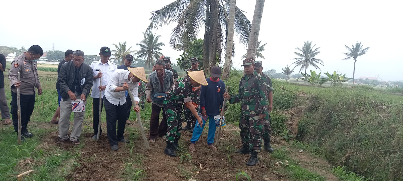 Dandim 0833/Kota Malang Letkol Kav Heru Wibowo Sofa SH MHan menanam tanaman jagung di lahan tidur. Foto: Ist
