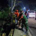 Babinsa Buring Bantu Evakuasi Pohon Tumbang Timpa Kendaraan