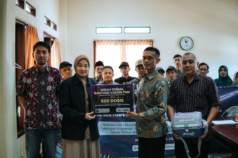 Gandeng KAN Jabung, FKH UB Salurkan 500 Vaksin PMK untuk Peternak Sapi di Malang Raya