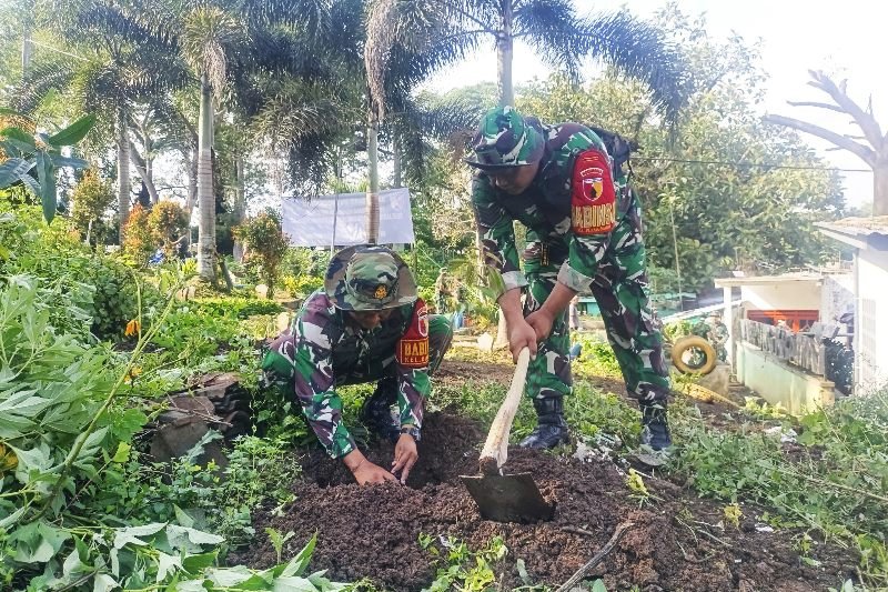 Koramil Klojen Tanam Pohon Buah di Kampung Keramat, Wujudkan Lingkungan Hijau dan Sehat
