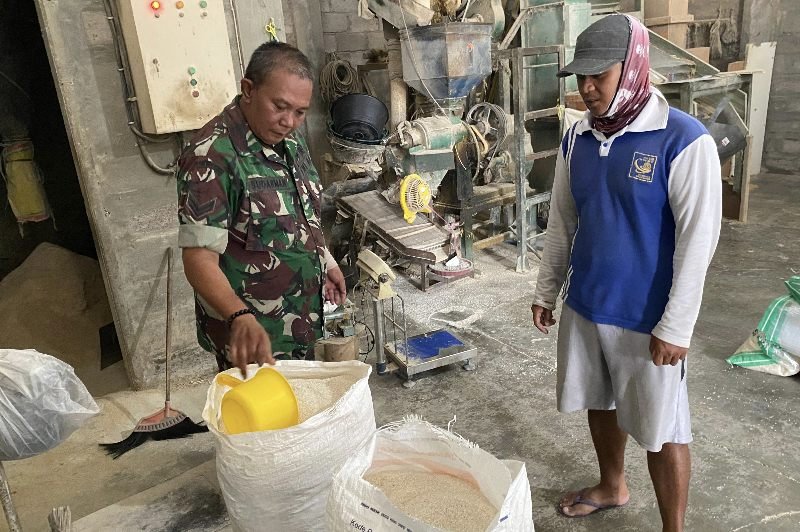 Babinsa Blimbing Pantau Harga Gabah di UD Terang Jaya