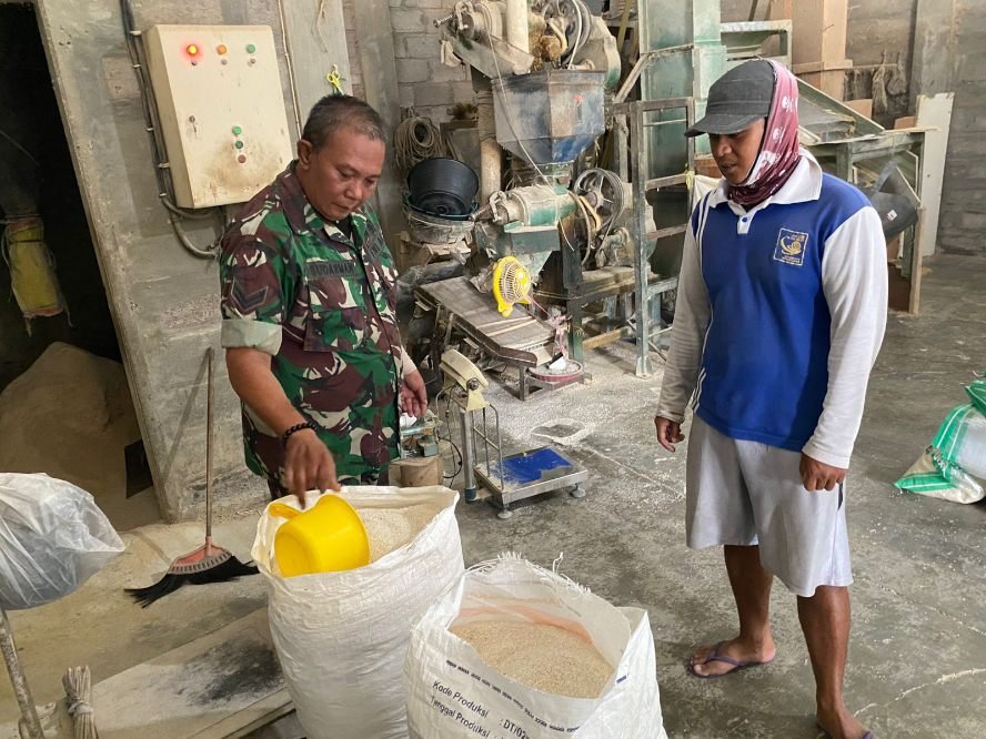 Babinsa Blimbing Kawal Kestabilan Harga Gabah Petani di UD Terang Jaya