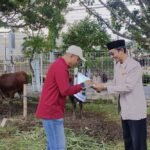 Polinema Sembelih 7 Sapi dan 6 Kambing, Bagikan 600 Paket Daging Kurban