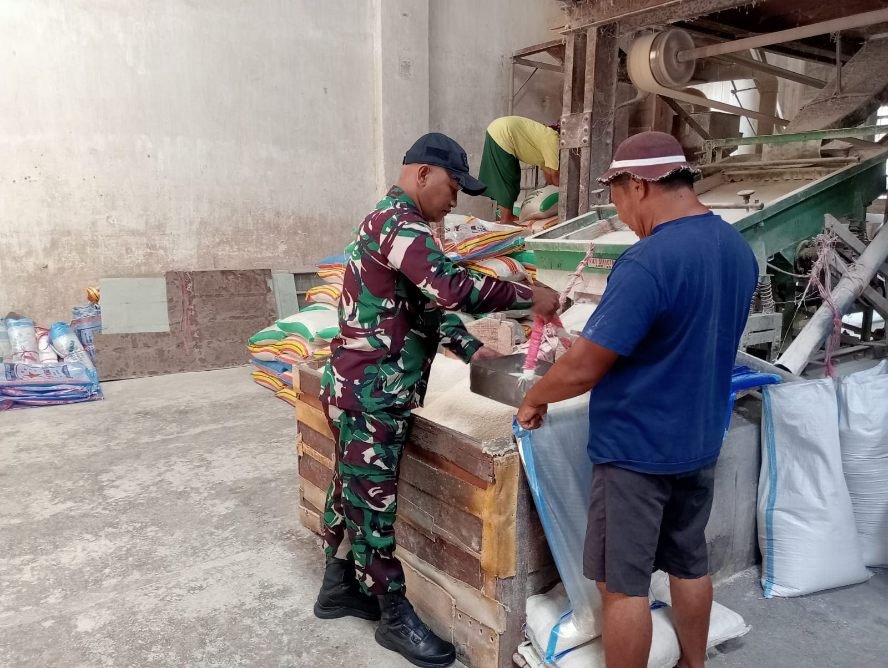 Babinsa Kotalama Pantau Lokasi Penggilingan Padi