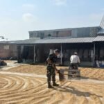 Babinsa Blimbing Bantu Petani Jaga Kualitas Gabah Kering