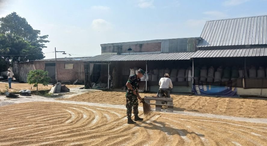 Babinsa Blimbing Bantu Petani Jaga Kualitas Gabah Kering
