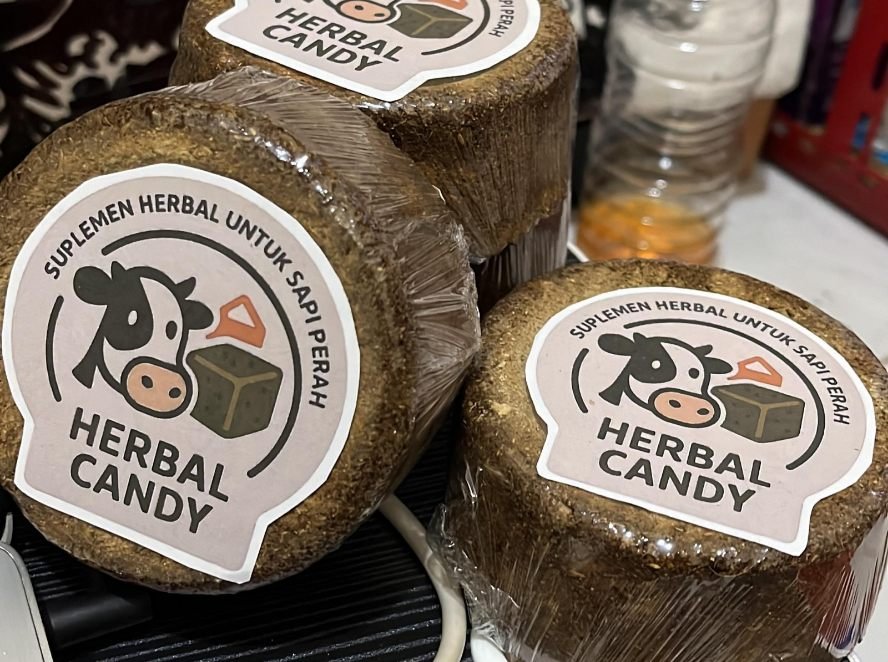Mahasiswa UMM Ubah Ampas Jamu Jadi Suplemen Pakan Ternak Herbal Candy. (UMM)