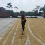 Babinsa bantu pengeringan gabah
