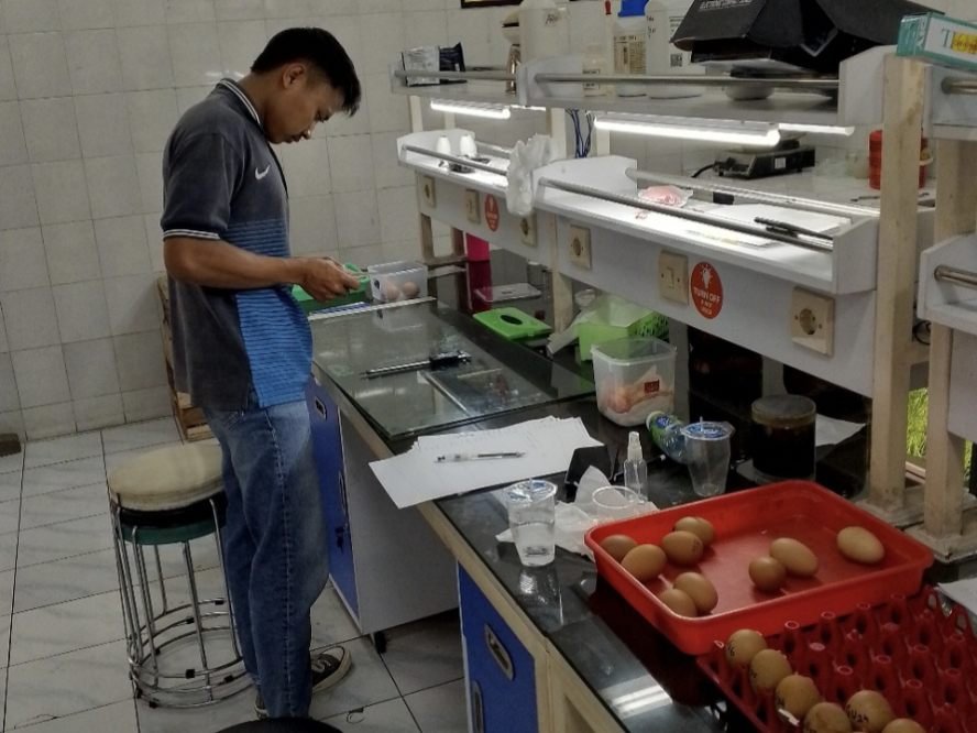 Mahasiswa UMM Kembangkan Bio-coating Telur dari Daun Mangga, Awet Tanpa Ubah Rasa