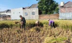 Babinsa Kedungkandang