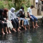 Boon Pring Malang Hadirkan Pengalaman Pijat Ikan yang Menyegarkan