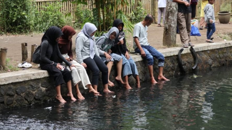 Boon Pring Malang Hadirkan Pengalaman Pijat Ikan yang Menyegarkan