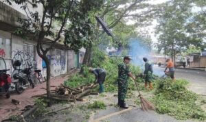 IMG-20260226-WA0069(1)