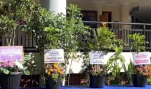 Wujudkan Green Campus, UM Tinggalkan Karangan Bunga dan Beralih ke Tanaman Hidup