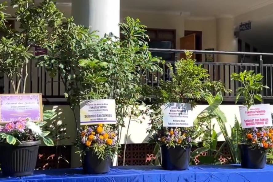 Wujudkan Green Campus, UM Tinggalkan Karangan Bunga dan Beralih ke Tanaman Hidup