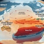 El Nino Menguat, WMO Serukan Kesiapsiagaan Hadapi Cuaca Ekstrem