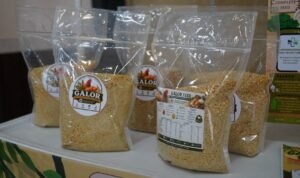 Galorfeed Atasi Masalah Telur Pucat dan Cangkang Rapuh, Mahasiswa UMM Bikin Inovasi Pakan Alami Galorfeed