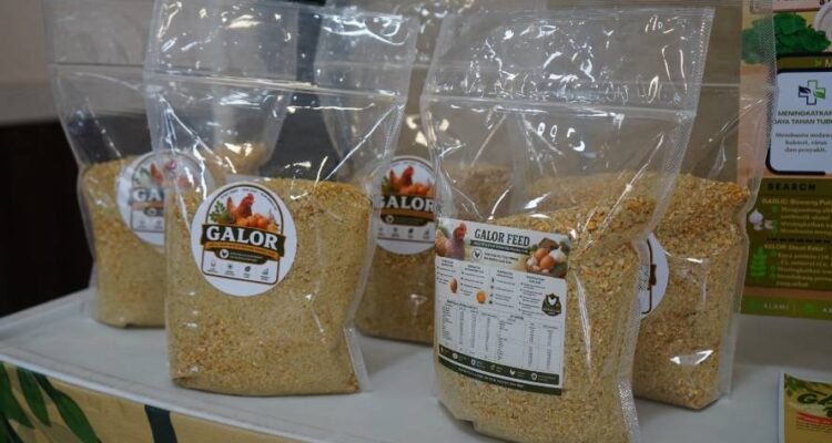 Atasi Masalah Telur Pucat dan Cangkang Rapuh, Mahasiswa UMM Bikin Inovasi Pakan Alami Galorfeed