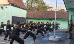 Pencak Silat