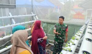 Babinsa edukasi hidroponik