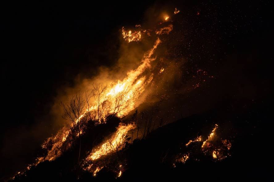 Kebakaran Hutan Terus Berulang, Pakar UMM Dorong Pemerintah Perkuat Sistem Pencegahan