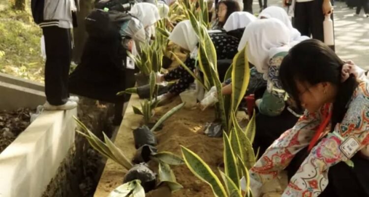 Gerakan Green Campus, UM Ajak Maba Tanam Sansevieria