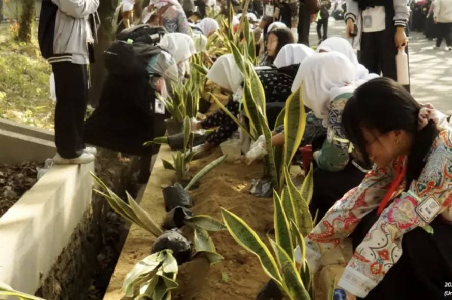 Gerakan Green Campus, UM Ajak Maba Tanam Sansevieria