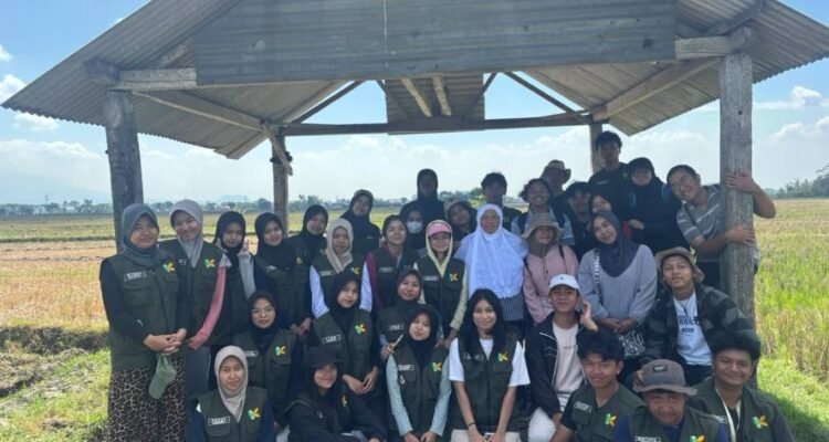 Dukung SDGs, KKN FBiPK UB Optimalkan Pematang Sawah