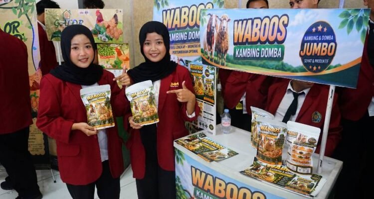 Mahasiswa UMM Ciptakan Waboos, Pakan Herbal untuk Gemukkan Kambing dan Domba