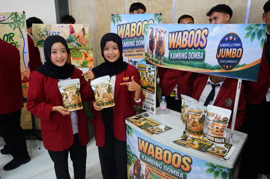 Mahasiswa UMM Ciptakan Waboos, Pakan Herbal untuk Gemukkan Kambing dan Domba