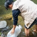 Lestarikan Sungai, Mahasiswa FPIK UB Bersama Warga Pandanajeng Tebar 10.000 Benih Wader