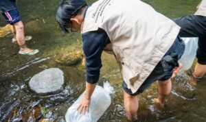 Pelepasan benih ikan wader Lestarikan Sungai, Mahasiswa FPIK UB Bersama Warga Pandanajeng Tebar 10.000 Benih Wader