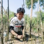 Hari Mangrove Sedunia, Mahasiswa Kehutanan FBiPK UB Tanam 10.000 Bibit di Wonorejo Surabaya