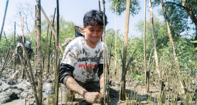 Hari Mangrove Sedunia, Mahasiswa Kehutanan FBiPK UB Tanam 10.000 Bibit di Wonorejo Surabaya