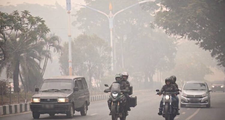 Asap Karhutla Ancam Kesehatan Paru, Dosen UMM Ingatkan Bahaya PM2.5