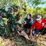TNI dan Warga Tunjungsekar Tanam 250 Pohon, Hijaukan Lingkungan untuk Generasi Mendatang