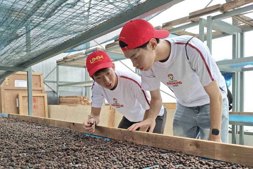 Mahasiswa Jepang Belajar Kopi Nusantara Mahasiswa Jepang Antusias Belajar Kopi Nusantara di Summer Course UMM