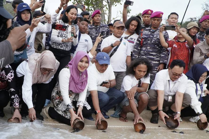 Ning Lia lepaskan Tukik Ning Lia Lepasliarkan Tukik di Tanjung Penyu, Lautan Menunggumu