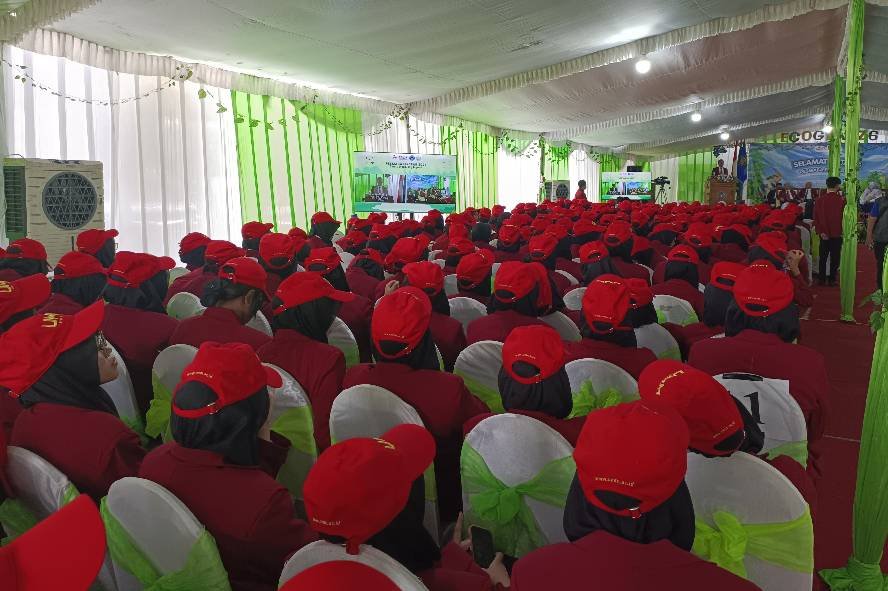 Pesmaba Fiksfar UMM