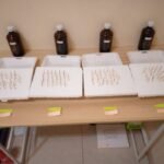 Dosen FBiPK UB Kembangkan Teknologi Induksi Poliploidi untuk Tingkatkan Potensi Pemuliaan Bawang Merah