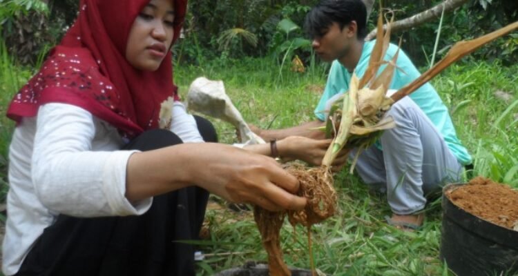 Dosen UB Patenkan Metode Isolasi Mikroba Penghasil Siderofor untuk Atasi Tanah Tercemar Merkuri