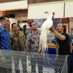 Dies Natalis ke-64, UB Gelar Piala Rektor Prana Satwa Brawijaya 2026