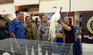 Dies Natalis ke-64, UB Gelar Piala Rektor Prana Satwa Brawijaya 2026