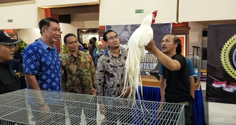 Dies Natalis ke-64, UB Gelar Piala Rektor Prana Satwa Brawijaya 2026