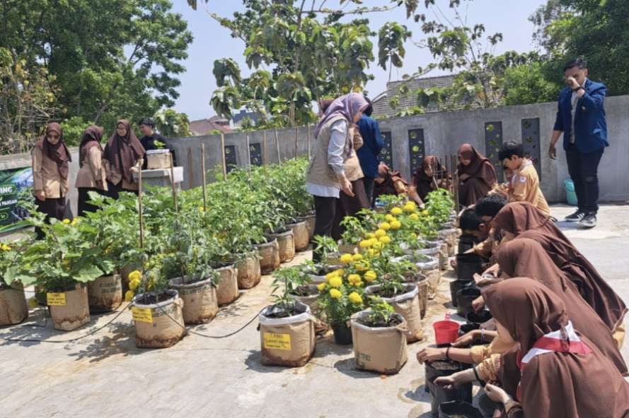 Urban Farming Dukung SDGs, Tim Pengabdian UB Ajak Siswa SMP Insan Amanah Malang Belajar Urban Farming